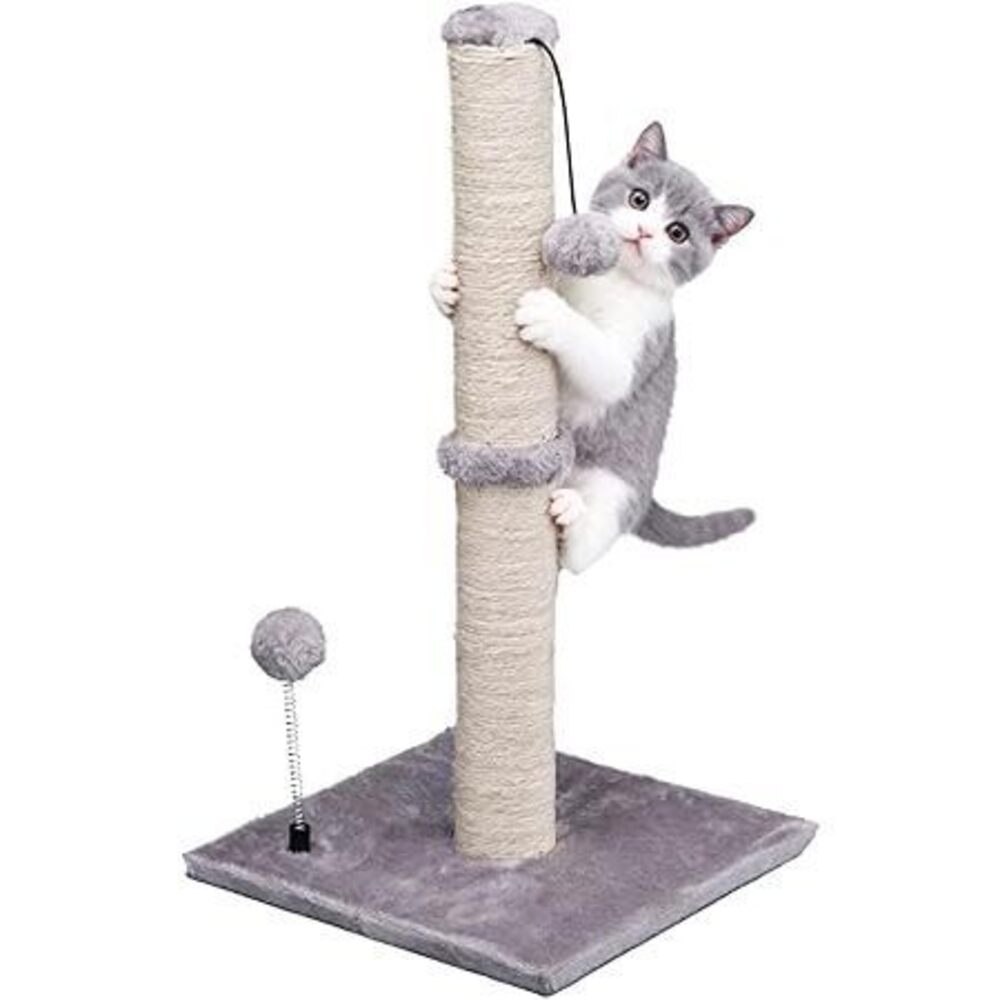 Cat Scratching Post Premium Basics Kitten Scratcher Sisal Scratch Posts With